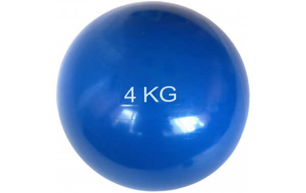 Медбол 4 кг, d17см Sportex MB4 синий 600_380