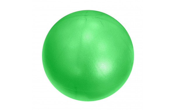 Мяч для пилатеса d25 см Sportex E39135 зеленый 600_380