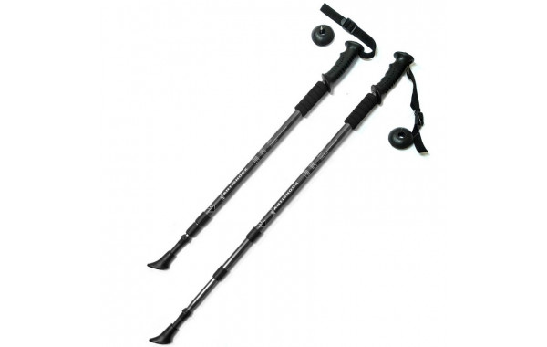 Палки для скандинавской ходьбы телескопическая, 3-х секционная Sportex F18435 черный 600_380