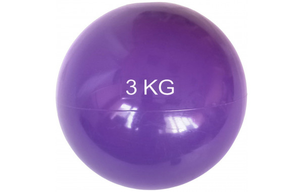 Медбол 3 кг, d15см Sportex MB3 фиолоетовый 600_380