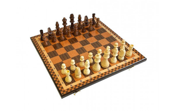 Шахматы "Турнирные 1" 40 Armenakyan AA104-41 600_380