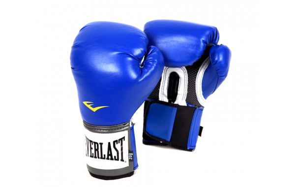 Перчатки тренировочные Everlast PU Pro Style Anti-MB Youth 2208YU синий 600_380