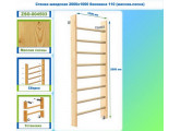 Стенка шведская 2000х1000 боковина 110 (массив.сосна) Dinamika ZSO-004503