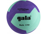 Мяч волейбольный Gala Soft 170, 12 BV5685SCF р.5