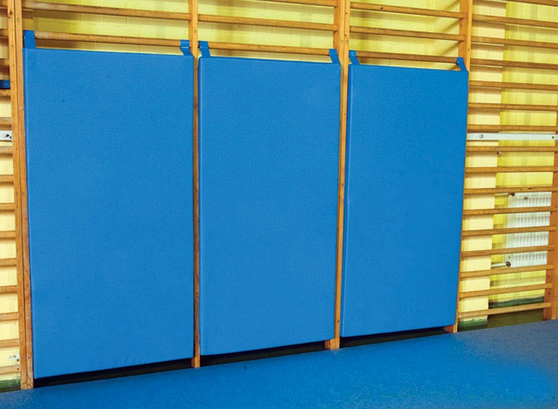 Мат-протектор для стенки гимнастической ФСИ 140х60х6 см, тент 8420 1093_800