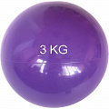 Медбол 3 кг, d15см Sportex MB3 фиолоетовый 120_120