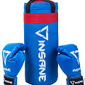 Набор для бокса Insane Fight, синий, 39х16 см, 1,7 кг, 4 oz 120_120